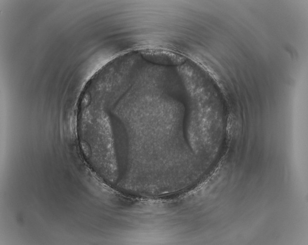 X0000111370877200908211316
