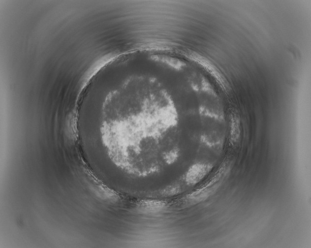 X0000111370878200908211316