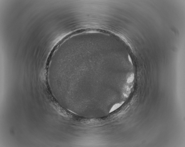 X0000111370879200908211316