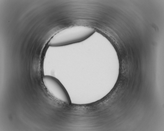 X0000111370880200908211316