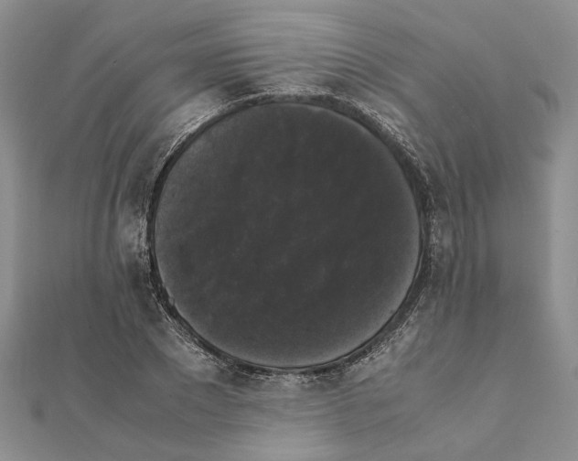 X0000111370881200908211316