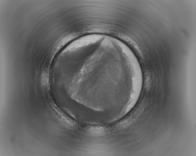 X0000111370882200908211316