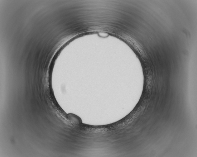 X0000111370884200908211316