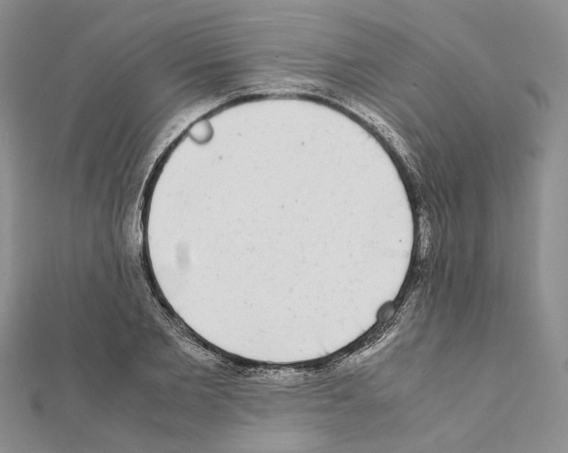 X0000111370885200908211316