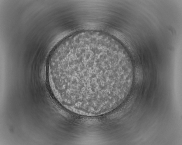 X0000111370886200908211316