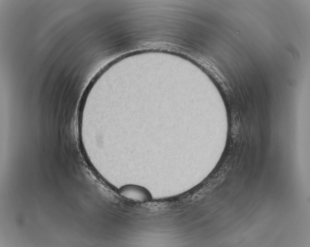 X0000111370888200908211316