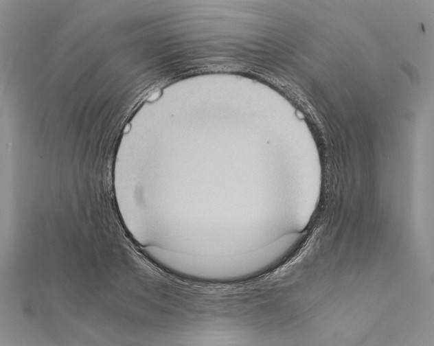 X0000111370889200908211316