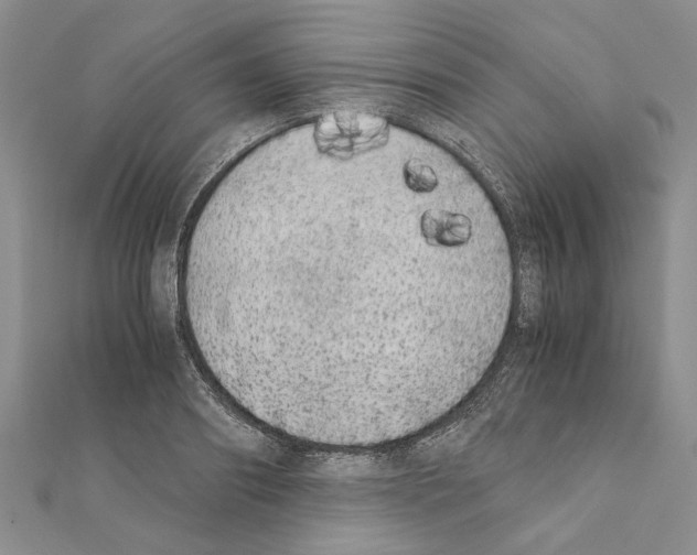 X0000111370890200908211316