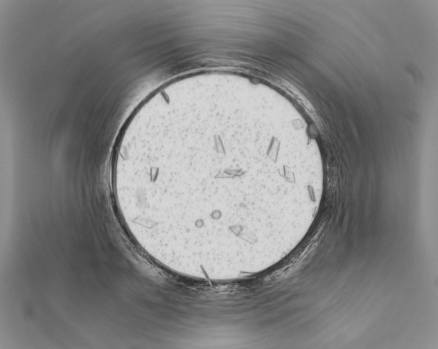 X0000111370891200908211316