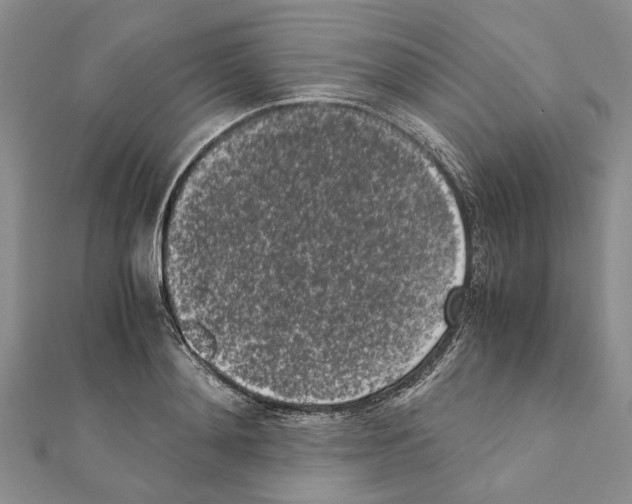 X0000111370892200908211316