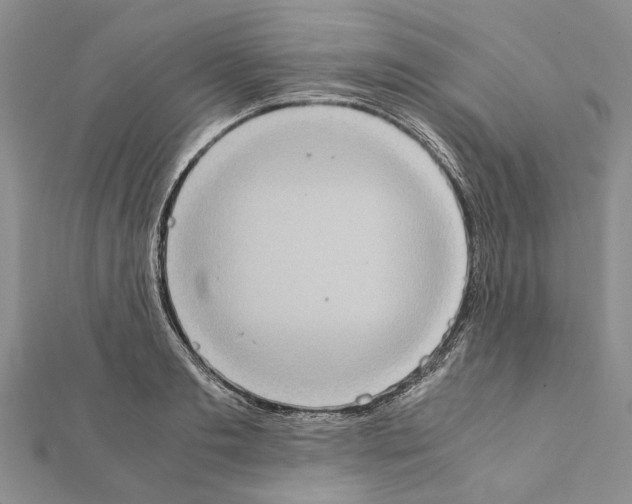 X0000111370893200908211316