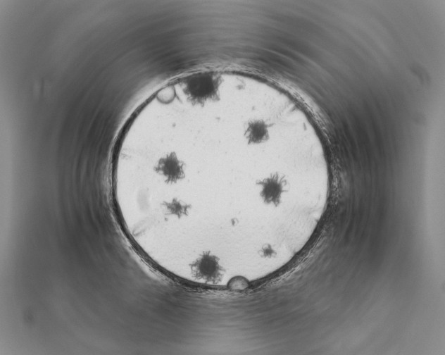 X0000111370894200908211316