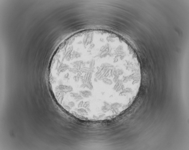 X0000111370895200908211316