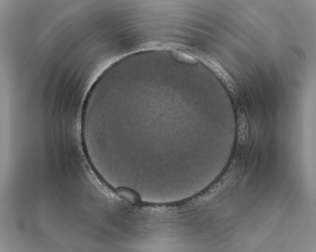 X0000111370896200908211316