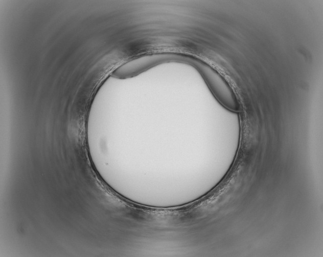 X0000111370897200908211316