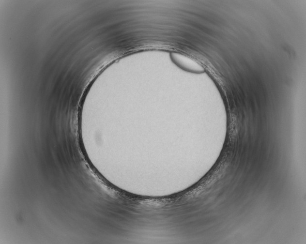 X0000111370898200908211316