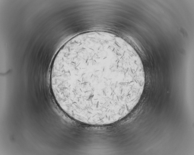 X0000111370900200908211316