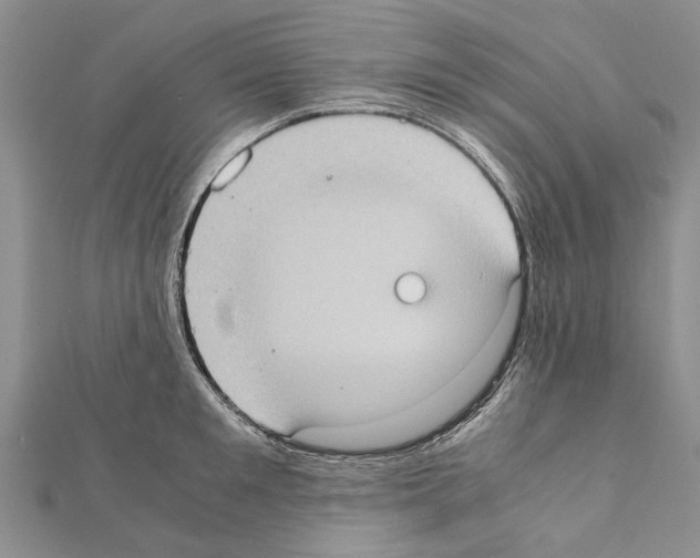 X0000111370901200908211316