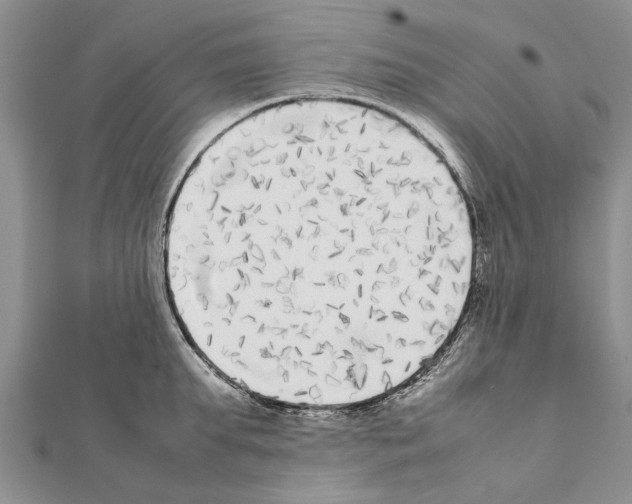 X0000111370903200908211316
