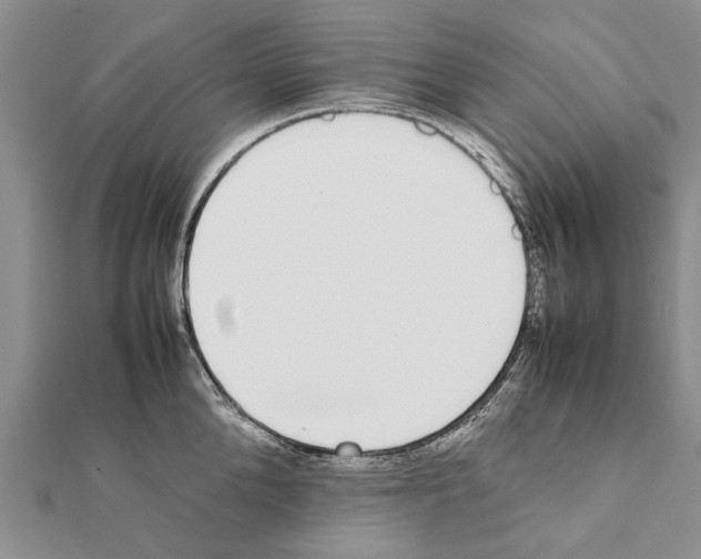 X0000111370904200908211316