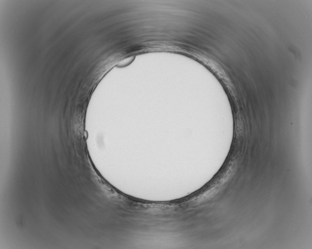 X0000111370905200908211316