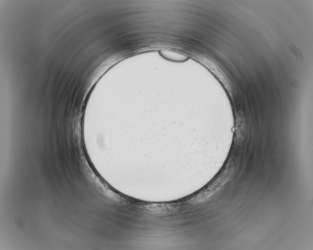 X0000111370906200908211316