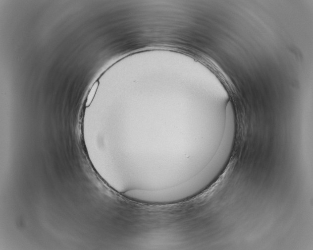 X0000111370908200908211315