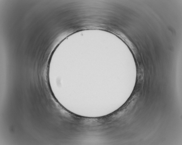X0000111370909200908211315