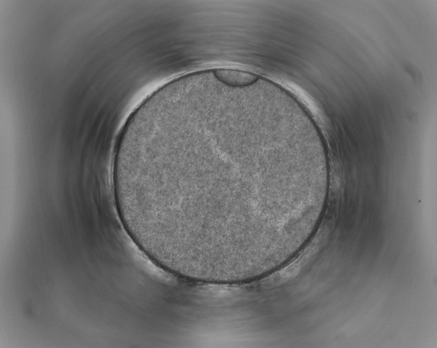 X0000111370910200908211315