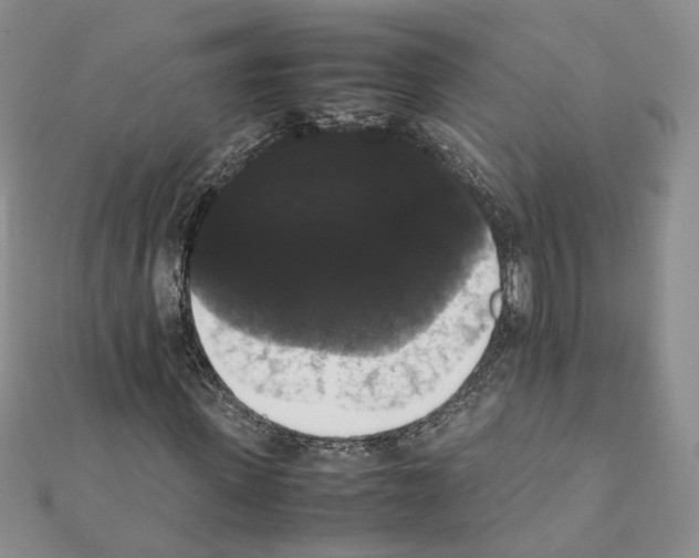 X0000111370915200908211315