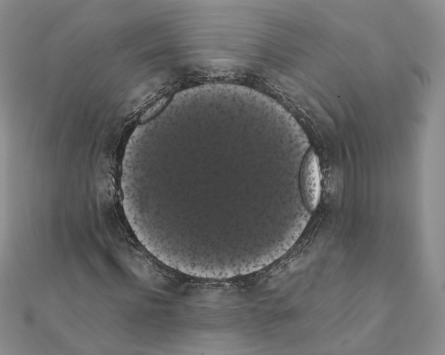 X0000111370916200908211315