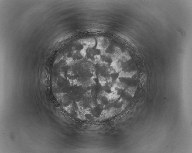 X0000111370917200908211315