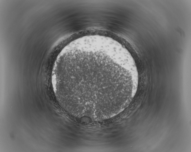 X0000111370919200908211315