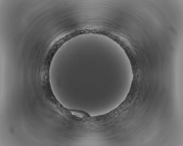 X0000111370920200908211315