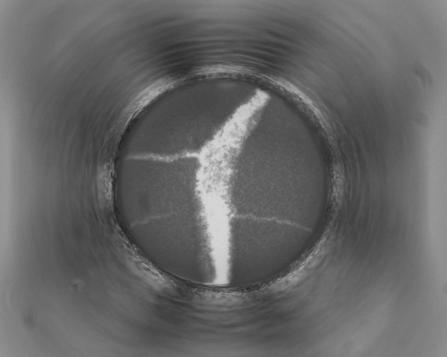 X0000111370921200908211315