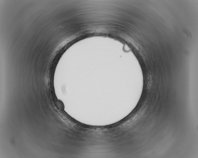 X0000111370922200908211315
