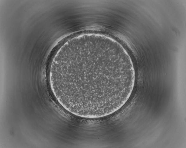 X0000111370923200908211315