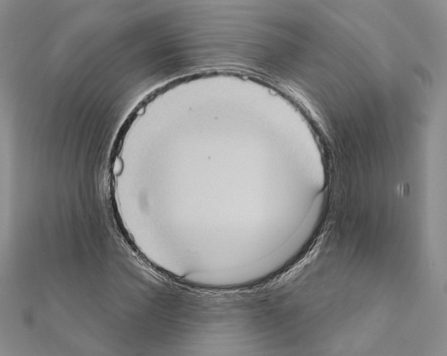 X0000111370924200908211315