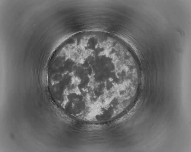 X0000111370925200908211315