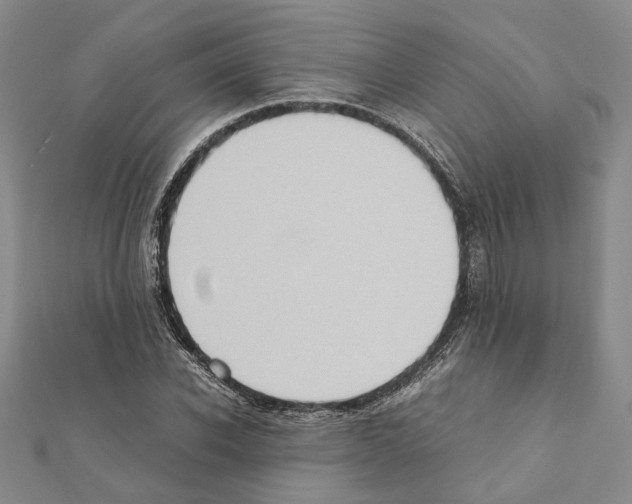 X0000111370926200908211315
