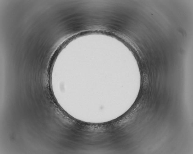 X0000111370927200908211315