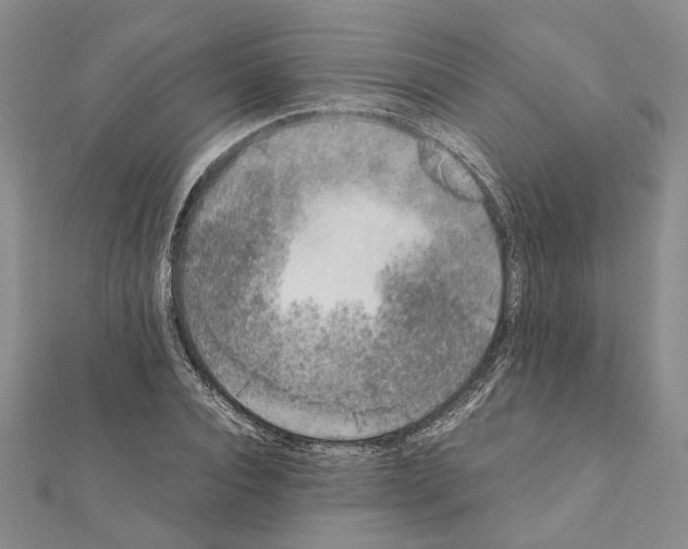 X0000111370928200908211315