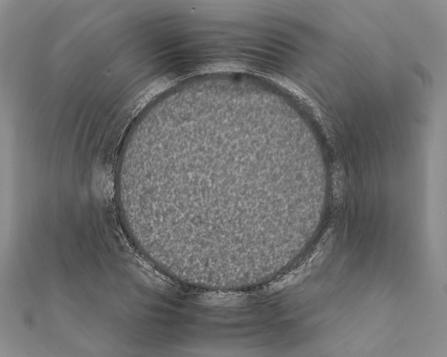 X0000111370929200908211315