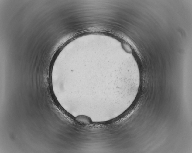 X0000111370930200908211315