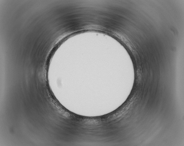 X0000111370931200908211315