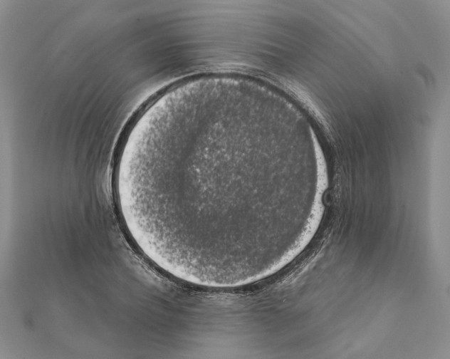 X0000111370932200908211315