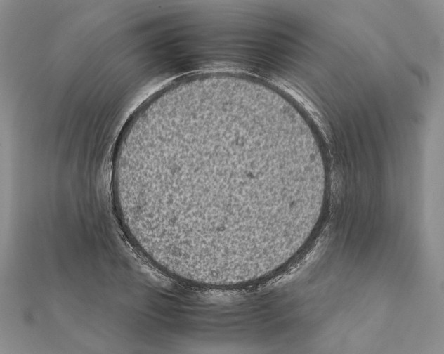 X0000111370933200908211315