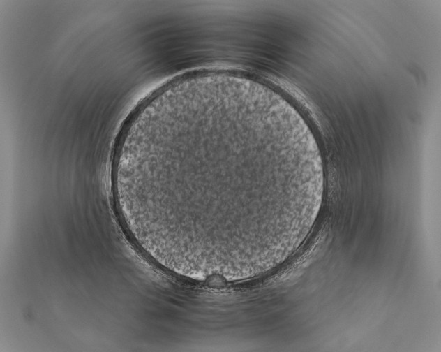 X0000111370935200908211315