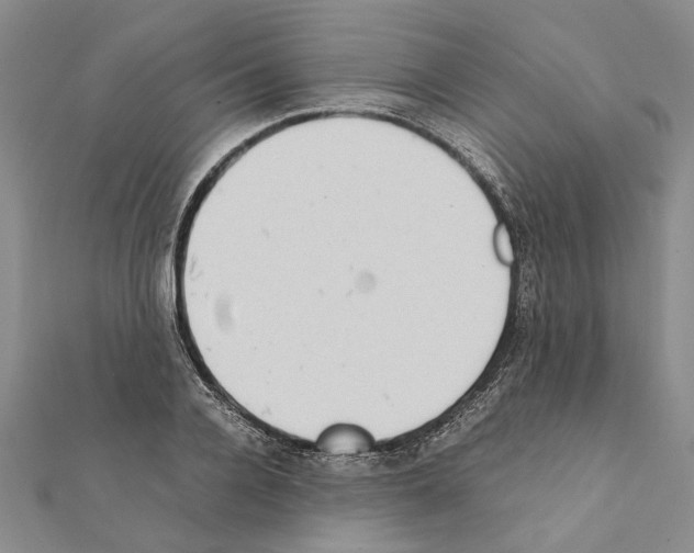 X0000111370936200908211315