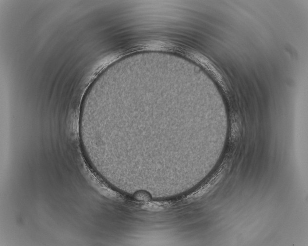 X0000111370938200908211315